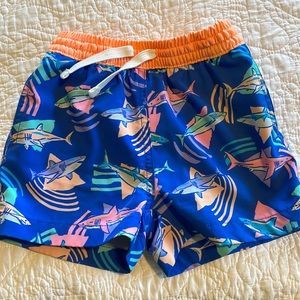 2T Chubbies swim trunks pet/smoke free home